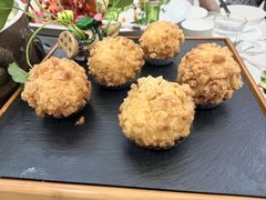 -丁老爷子苏香圆