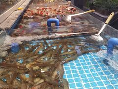 -一方渔歌蒸汽海鲜自助(文化路万达广场店)