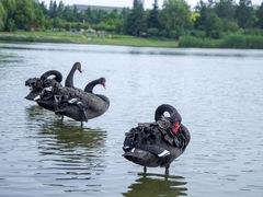 -江南大学(蠡湖校区)