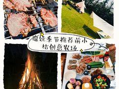 -前小桔亲子创意农场·草莓采摘·露营烧烤