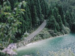 -武陵山森林公园