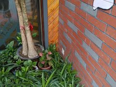 -湘当爱·鲜煮现炒(松岗立业路店)