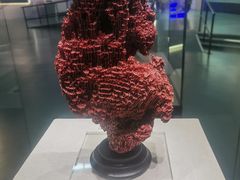 -上海中国航海博物馆