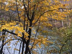 -叠溪松坪沟景区