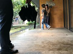 -微热山丘(台北民生公园门市店)
