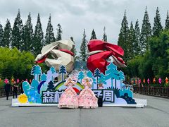 -黄海国家森林公园