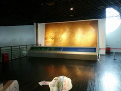 -上海长江河口科技馆