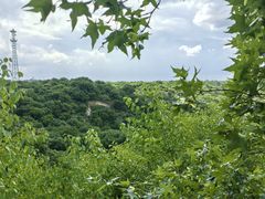 -大青沟风景区
