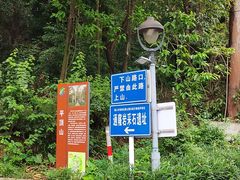 -南国桃园旅游度假区