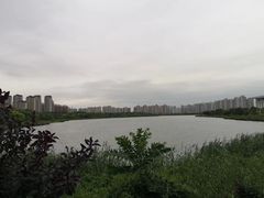 -天津梅江中心皇冠假日酒店