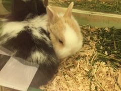 -龙猫仔乐园(惠福东路店)