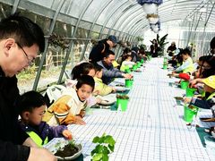 -嘉北郊野公园