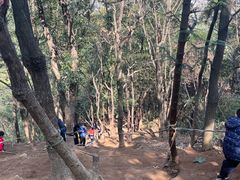 -灵岩山风景区