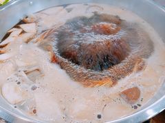 -活鱼馆(宜兴埠店)