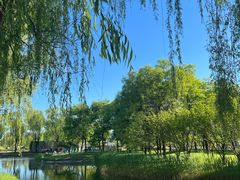 -圣露庄园·露营·烤肉·亲子
