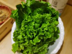 生菜-松鱼亭·和牛烧肉(协鑫广场店)