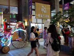 -三亚海昌梦幻海洋不夜城