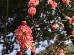 -黄公望隐居地