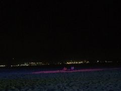 -巨鹏飞梦幻海岸