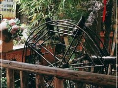 -园林美食城·本土农家菜(杨和镇店)