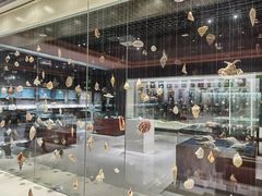 -青岛贝壳博物馆