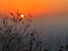 -杭州半山国家森林公园