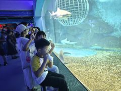 -泉城欧乐堡海洋极地世界