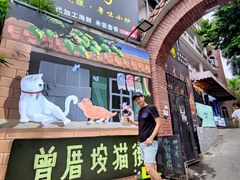 门面-有猫主题·治愈系猫咖(曾厝垵店)
