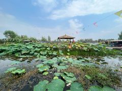 -同銮特种养殖场·龙虾垂钓