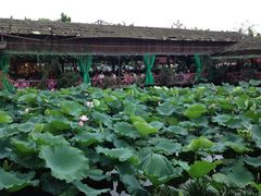 iphone_upload_pic-荷香居(洞企石路店)