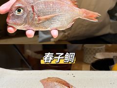 -镹·鱼料理  国产鱼使用店