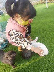 -萌宠亲子动物乐园(槐房万达店)