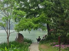 -紫霞湖公园