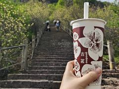 -天台山赤城山景区