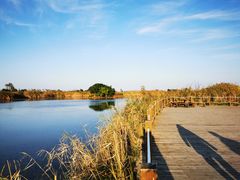 -盐城丹顶鹤湿地生态旅游区