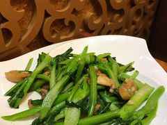 广东菜心-金穗园·砂锅粥.醉鸡煲火锅(长寿路店)