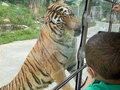 -西安秦岭野生动物园