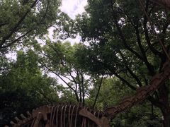-杭州少年儿童公园