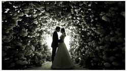 点击看大图 -保定巴黎婚纱摄影