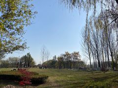 -西安浐灞国家湿地公园