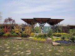 -上海长兴岛郊野公园