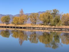 -野鸭湖国家湿地公园