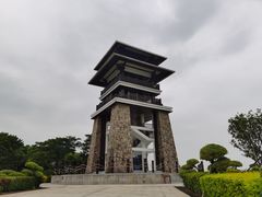 -大湾区中央湿地公园