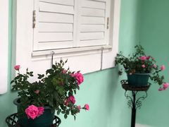 -龙环葡韵住宅式博物馆