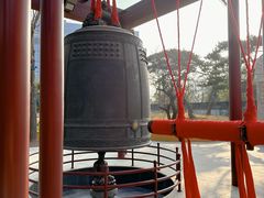 -龙华素斋(龙华路店)