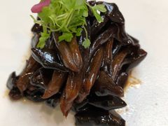 -丁老爷子苏香圆