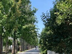 -前小桔亲子创意农场·草莓采摘·露营烧烤