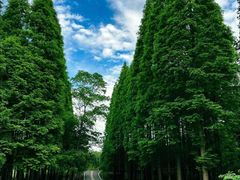-宜兴龙背山森林公园