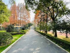 -上海市第三女子中学
