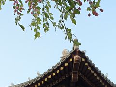 -元大都城垣遗址公园